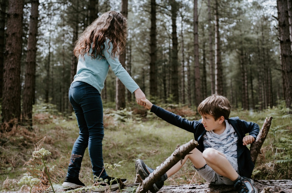 Bridge symbolizing connection between siblings during therapeutic treatment